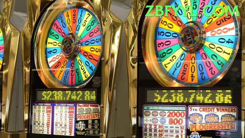 Bingo Patti Pakistan